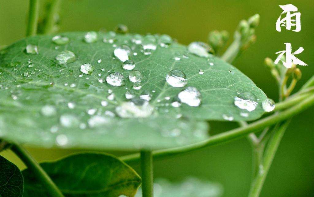 雨水潤(rùn)萬(wàn)物，兼顧沙與泥！